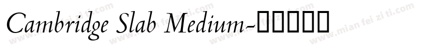 Cambridge Slab Medium字体转换